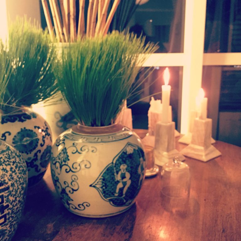 Manila The Potted Boxwood