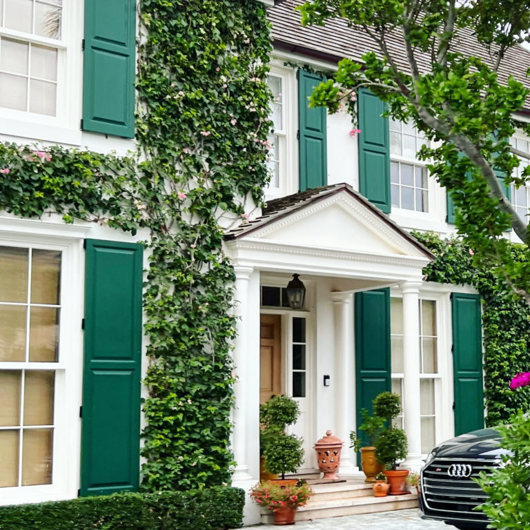 Dunbar Road’s Palm Beach Guide The Potted Boxwood