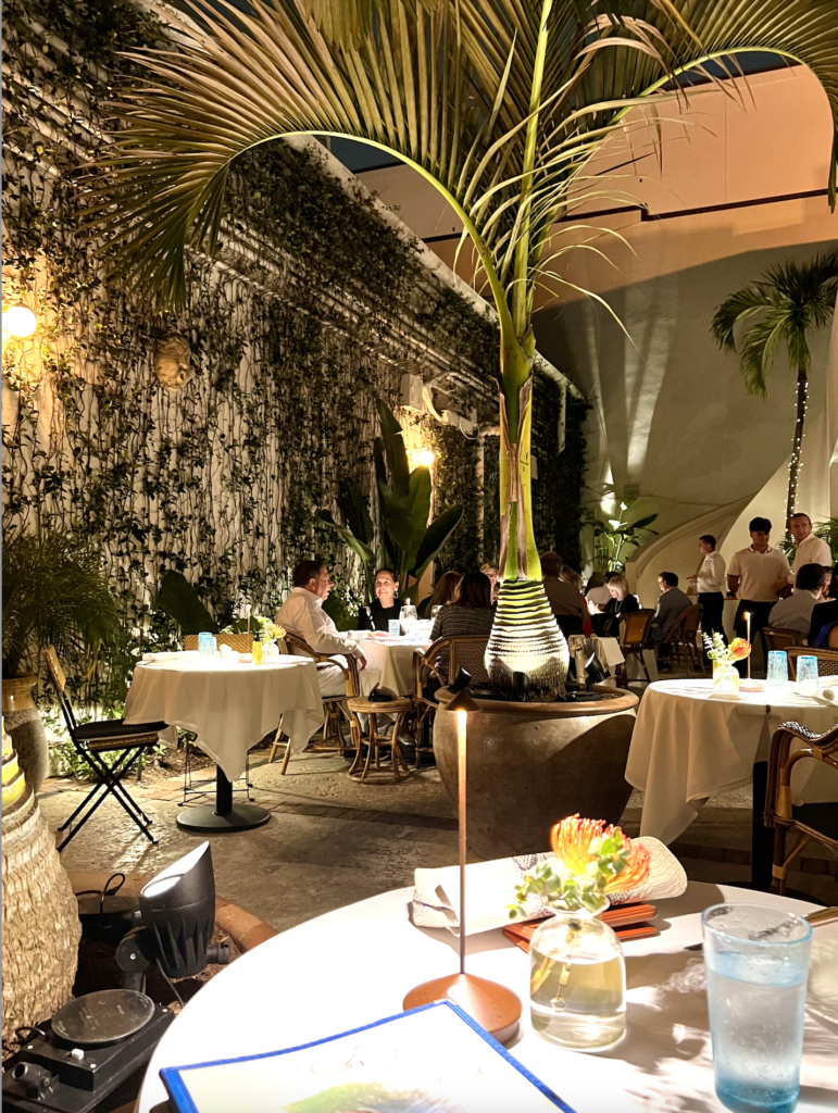 Dunbar Road’s Palm Beach Guide The Potted Boxwood