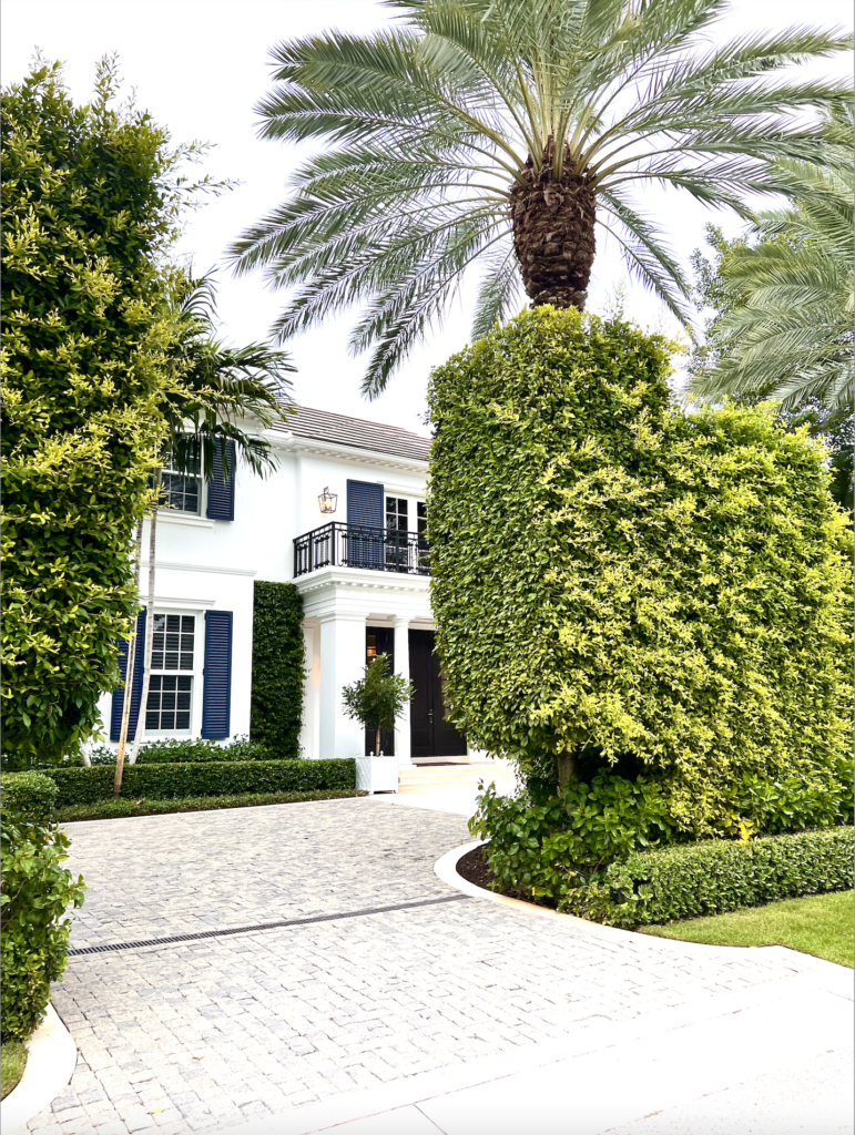 Dunbar Road’s Palm Beach Guide The Potted Boxwood
