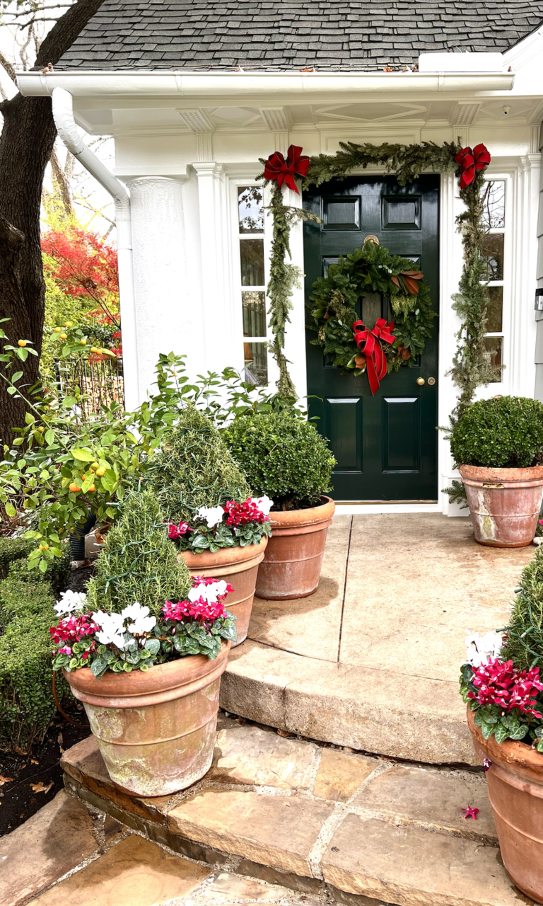 Beyond the Curb with Cathy Kincaid – The Potted Boxwood